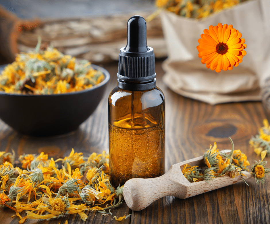 Herbal Remedies for Skin Health and Glow: 7 Popular Tips 14 Calendula