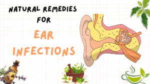 Effective 7 Natural Remedies for Ear Infections