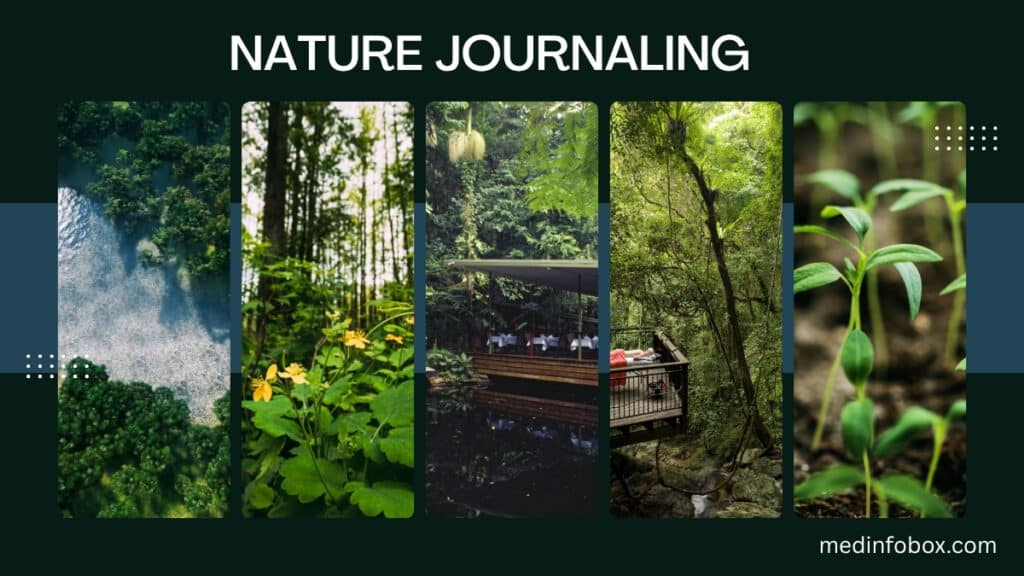 Wellness Activities -Nature Journaling