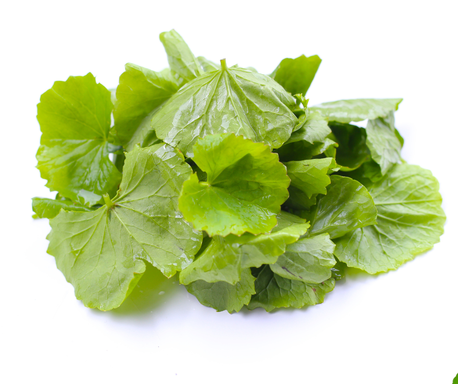 Herbal Remedies for Skin Health and Glow: 7 Popular Tips 16 Gotu Kola